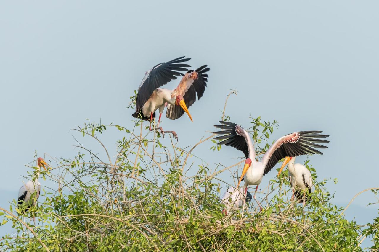 Mtowabaga Lake Natron Maasai Giraffe Eco Lodge And Camping מראה חיצוני תמונה