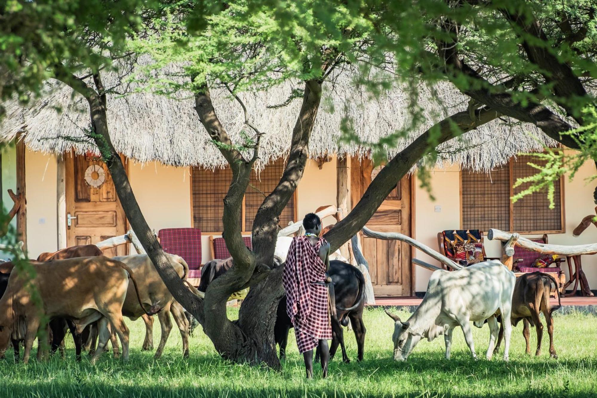 Mtowabaga Lake Natron Maasai Giraffe Eco Lodge And Camping מראה חיצוני תמונה