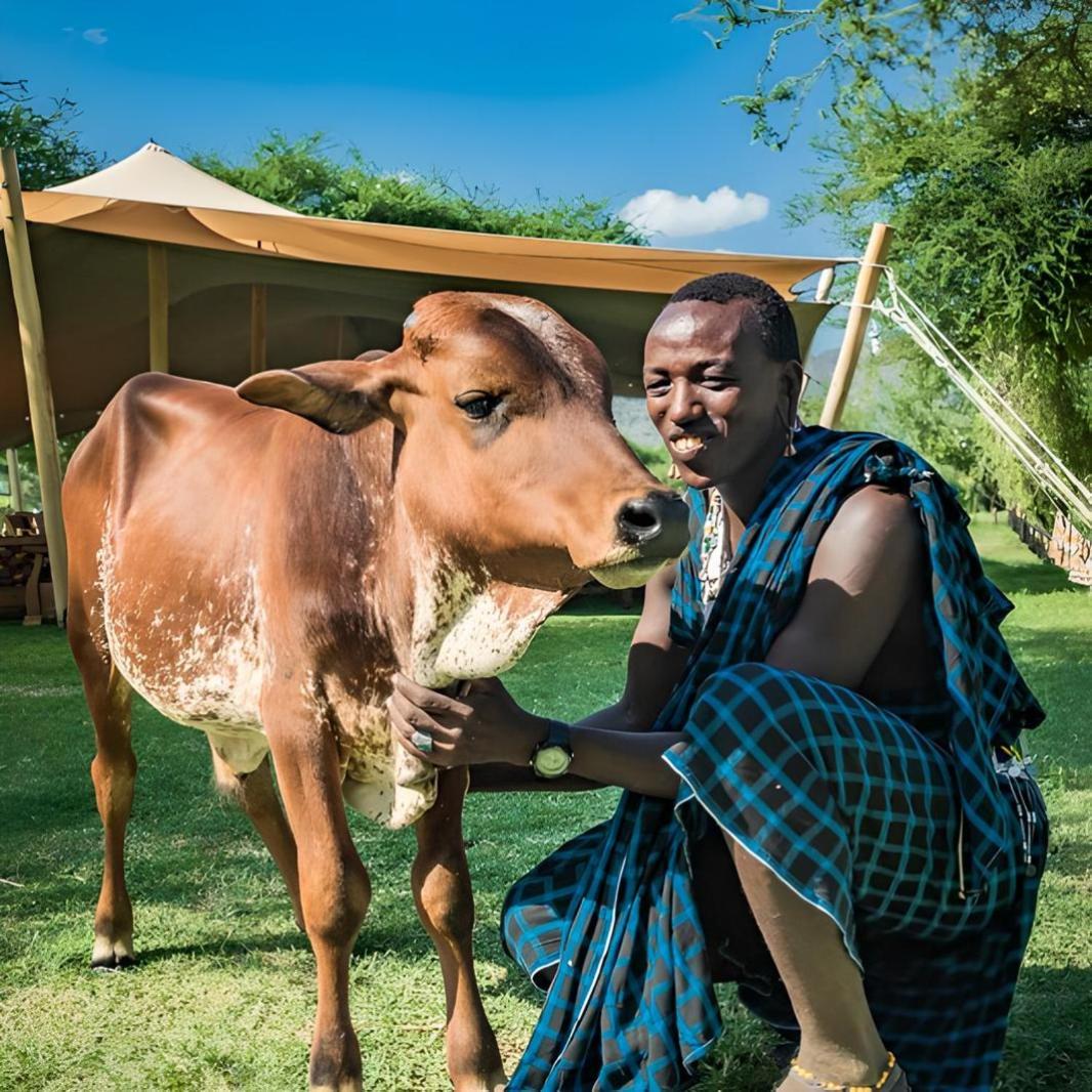 Mtowabaga Lake Natron Maasai Giraffe Eco Lodge And Camping מראה חיצוני תמונה